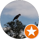 Tizitl Coatl profile picture